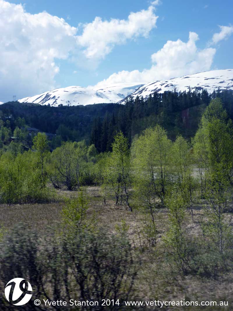 Snow-capped mountains