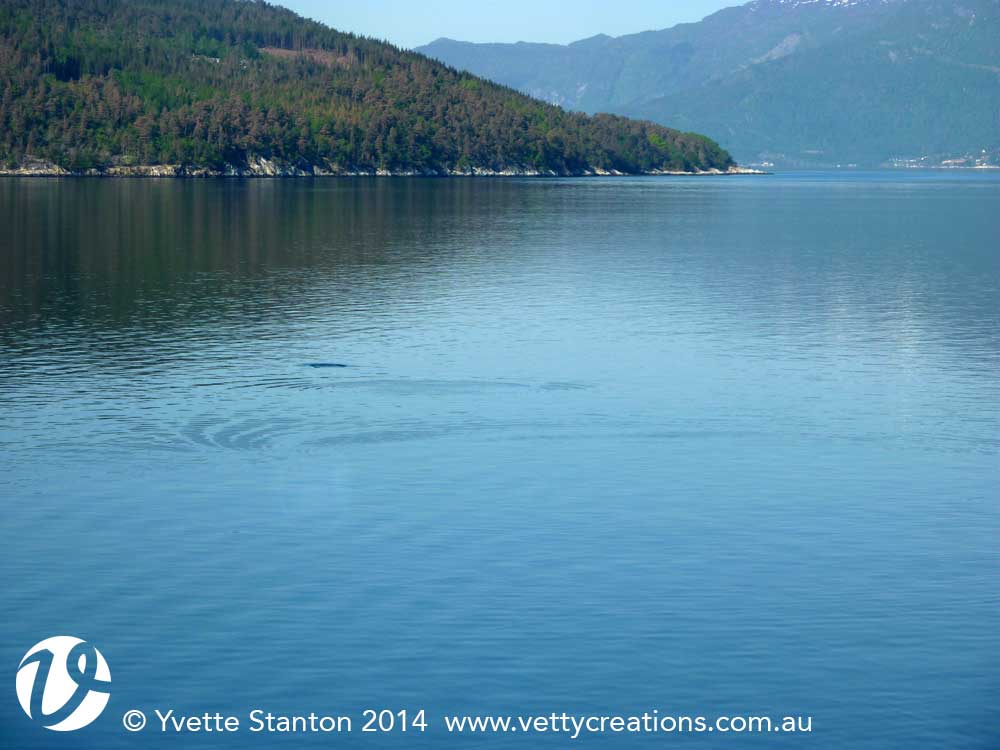 something in the water